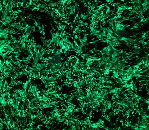 Флуоресцентная углеродная плита